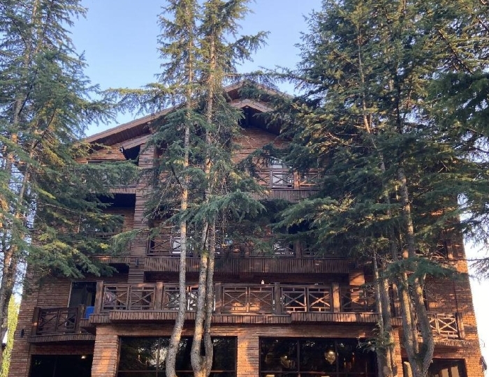 Отель «Арт-отель» Цандрипш