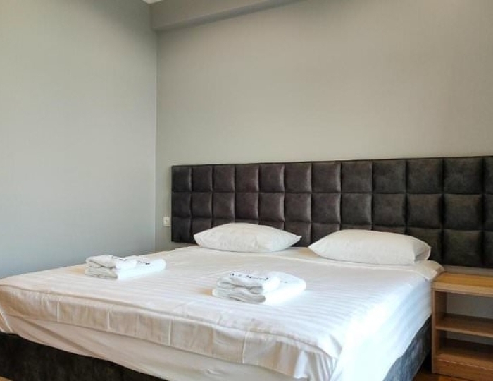 Стандарт - Отель «Арт-отель» Цандрипш