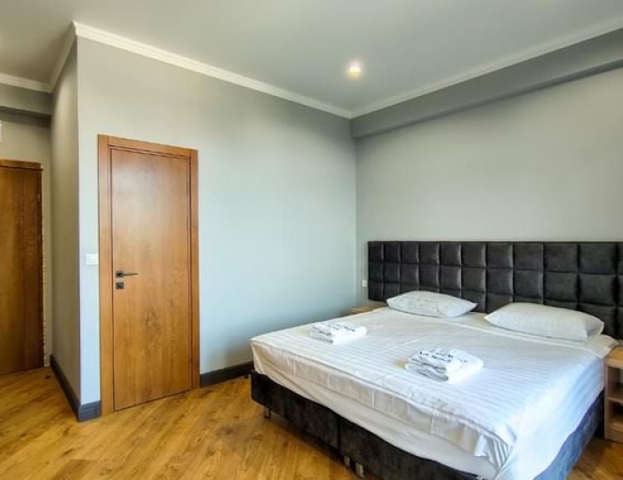 Стандарт - Отель «Арт-отель» Цандрипш