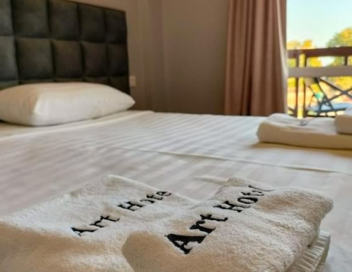 Стандарт - Отель «Арт-отель» Цандрипш