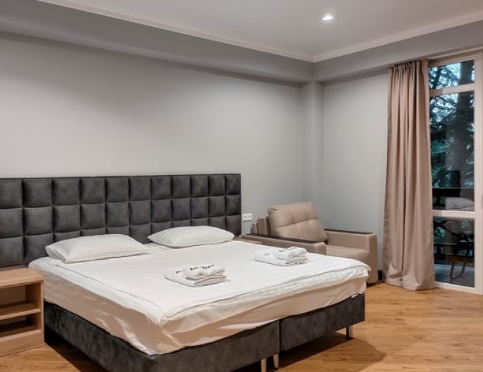 Делюкс - Отель «Арт-отель» Цандрипш