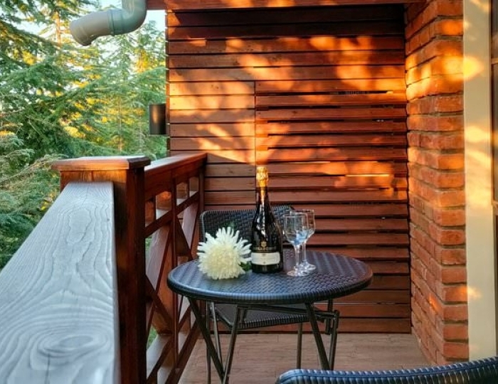 Делюкс - Отель «Арт-отель» Цандрипш